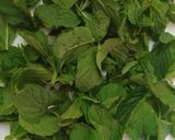 A picture of step 1 of Mint margarita.