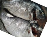 Une image de l'étape 7 de Préparer le poisson frais.