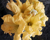 Foto del paso 1 de la receta: Flores de calabacín, rellenas de queso gorgonzola