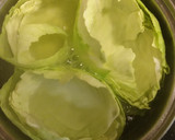 Foto del paso 2 de la receta: Farcellet de col (col rellena)