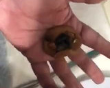 Foto del paso 3 de la receta: Calugas