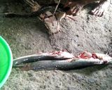 Foto langkah ke 1 dari resep Pepes ikan lele kemangi.