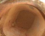 Foto del paso 3 de la receta: Licuado de Cocoa y café 🧃