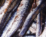 Foto del paso 2 de la receta: Anchoas caseras