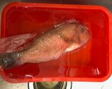 糖醋澎湖野生寒鯛的食譜步驟1照片