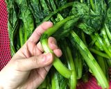 Hình bước làm 2 của món Kim chi cải đắng(각김치)