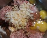 Chinese Lionhead Meatballs recipe step 1 photo