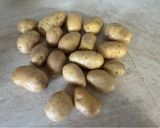 Foto del passaggio 3 della ricetta Polpettine patate verza e pomodori secchi