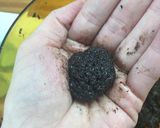 Foto del paso 2 de la receta: Trufas oreo