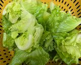 燙大陸妹佐貝里斯辣醬的食譜步驟1照片