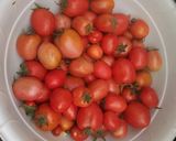 A picture of step 1 of Homemade ketchup - Basic.