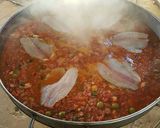 A picture of step 9 of Marlin Stew on the Griddle.