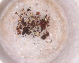 गुड़ की चाय(Gud ki chai recipe in Hindi) रेसिपी चरण 2 फोटो