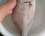 Foto langkah ke 1 dari resep Gangan Ikan Belitung | Sup Ikan Kakap Lencam.