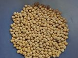 Harina de garbanzos