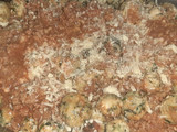 Malfatti de ricota y espinaca (sin harina)