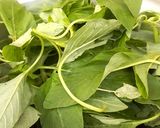 A picture of step 1 of Blanched Vegetable.