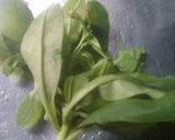 Foto langkah ke 4 dari resep Peyek daun gingseng(no telur no santan).