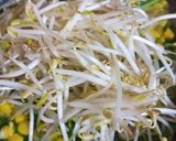 Foto langkah ke 3 dari resep Tumis Sawi Jagung Tauge.