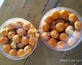 Foto langkah ke 7 dari resep Nastar.