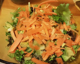 Foto del paso 11 de la receta: Ensalada de Pollo, Aguacate y Kiwi con vinagreta de Fresas