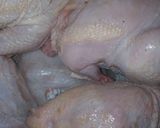 A picture of step 1 of Stuffed chicken with macaroni and onion rings.