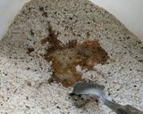 Foto del paso 1 de la receta: Marinas de semillas