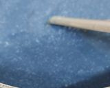 A picture of step 6 of Blue phirni.