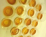 A picture of step 1 of Yummy Flan Cake 🍮🍮.