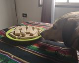 Foto del paso 4 de la receta: Galletitas de avena para perros 🐶