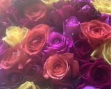 Une image de l'étape 9 de 🍒Charlotte Aux 🍓 Fraises Fête les Mamans 🪭🎁.