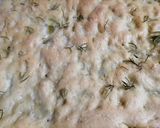 Foto del passaggio 3 della ricetta Cecina