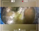 Фото кроку 12 до ~Рыбный суп из хека с картофелем~.