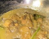 Foto langkah ke 6 dari resep Opor Ayam.