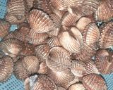 Foto langkah ke 1 dari resep Bening kerang.