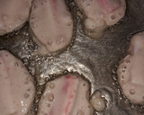 Foto del paso 2 de la receta: Dedos de kanikama