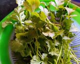 A picture of step 1 of Amla, Dhania Chutney/Gooseberry, Green Coriander leaves Chutney.