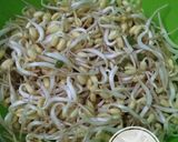 Foto langkah ke 2 dari resep Tumis Tauge Tauco.