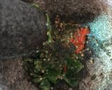 Gambar langkah 3 resipi Sambal Toktok.