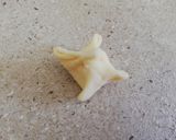 Une image de l'étape 4 de Recette de manti (ravioli turc).