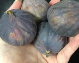 Une image de l'étape 1 de Figues au fromage de chèvre frais.