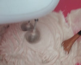 Foto del paso 3 de la receta: Crema de tamarindo. Solo con tres ingredientes