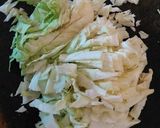 Foto del paso 3 de la receta: Spaguetis al repollo