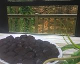 Foto langkah ke 6 dari resep Truffle Oreo 3 Bahan.