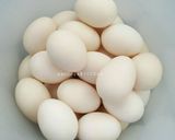 Foto langkah ke 1 dari resep Telur asin homemade...masir, berminyak 👍.