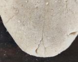 A picture of step 5 of Jolada Rotti / Jowar Roti Karnataka Special.