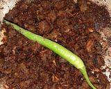A picture of step 2 of Kuchlawa gosht mazedaar.