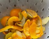A picture of step 2 of Candied Orange and Lemon Peel:.