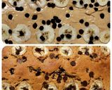 Foto langkah ke 6 dari resep Cake Pisang Gula Palem Best Ever Banana Cake with Palm Sugar.