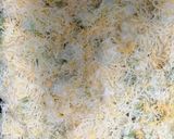 Foto del paso 6 de la receta: Romanesco al horno